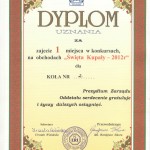 dypl-kolor-150x150 Opis Dnia Kupały 2012