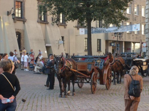 image0633-500x375 Ogrody Muzyczne 2012