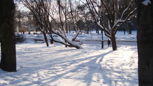 DSC03745-500x281 Zima na Targówku