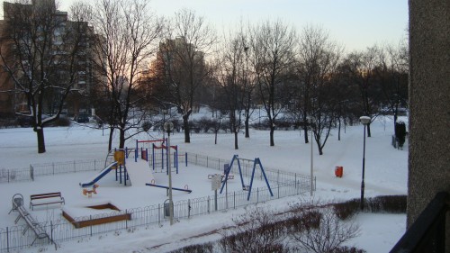 DSC03747-500x281 Zima na Targówku