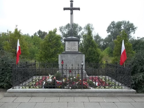 100_2406-500x375 "Za zwycięstwo oręża polskiego"    