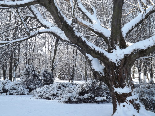 Obraz-006-500x375 Zdjęcia uczestników konkursu fotograficznego