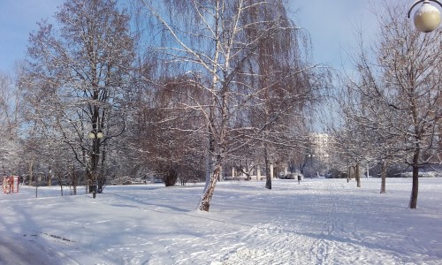 Skwer-WIECHA-500x300 Zdjęcia uczestników konkursu fotograficznego